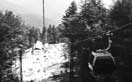 cazare sinaia